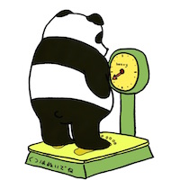 体重を計るパンダ