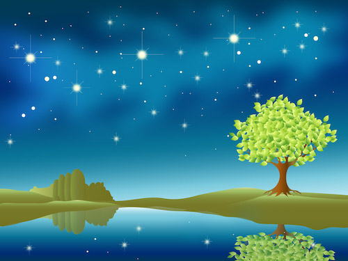 湖面に映る星と木